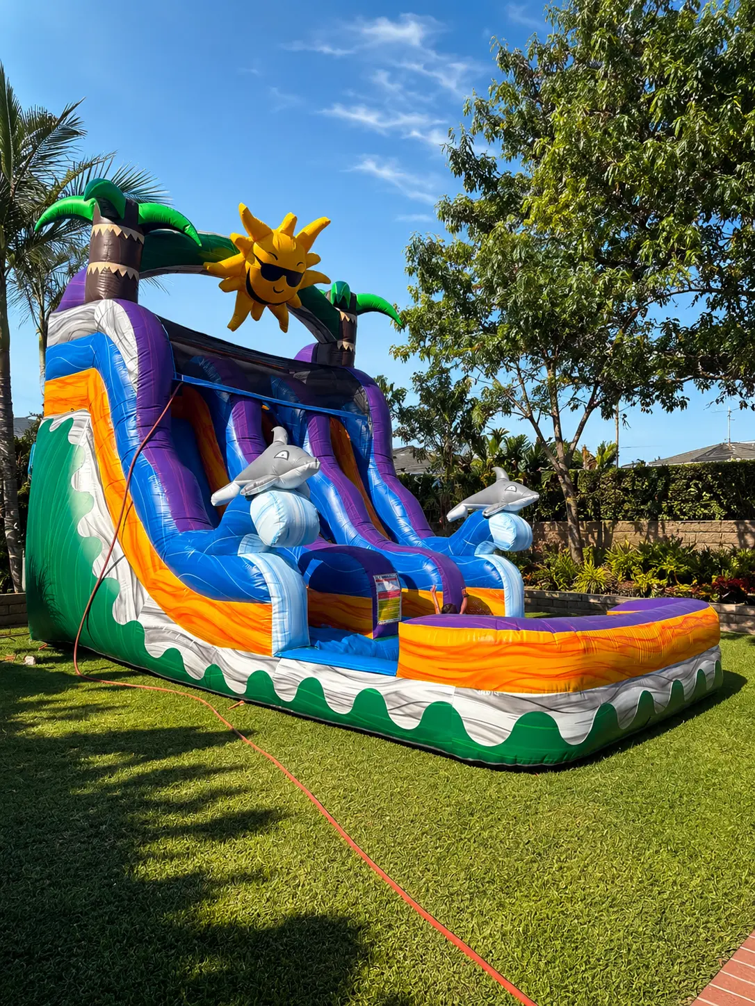 Tropical dolphin water slide with palm trees and splash pool set up on a backyard lawn